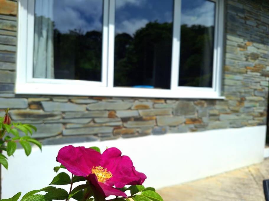 Kiberick At Crackington Haven, Near And Boscastle, Cornwall Holiday home *